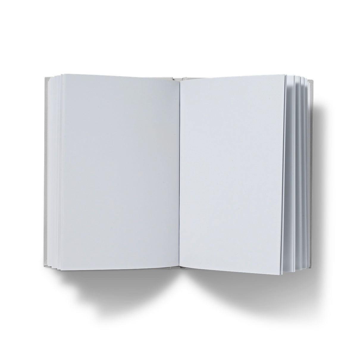 Divine Journeys of healing journal opened, blank pages, A5 size against a white background