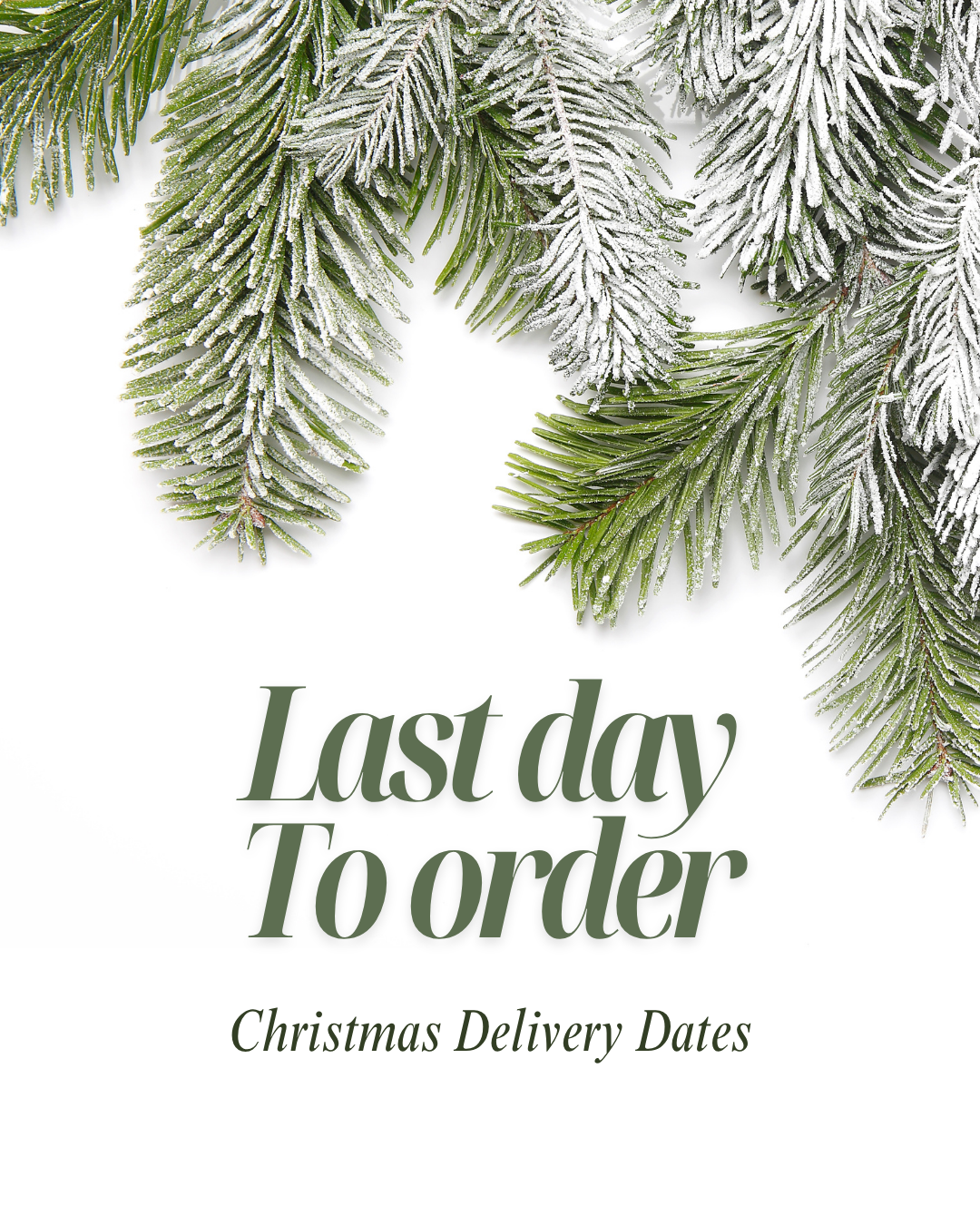 Snowy pine branches on top against a white background. Last day to order written in dark green in big fonts, followed by 'Christmas Delivery Dates'.
