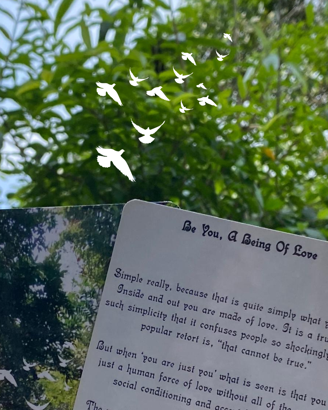 Two cards fanned our from Ask Yourself What To Do Guiding Cards by Lana Knight. The one on the left has a natural greenery with white doves flying towards the sky. The card on the right reads the title as 'Be You, A Being Of Love' and continues as 'Simple really, because' and continues.  In the background there are green leaved trees shining under sun light. Center of the picture there are drawings of white doves flying towards the sky from the cards.