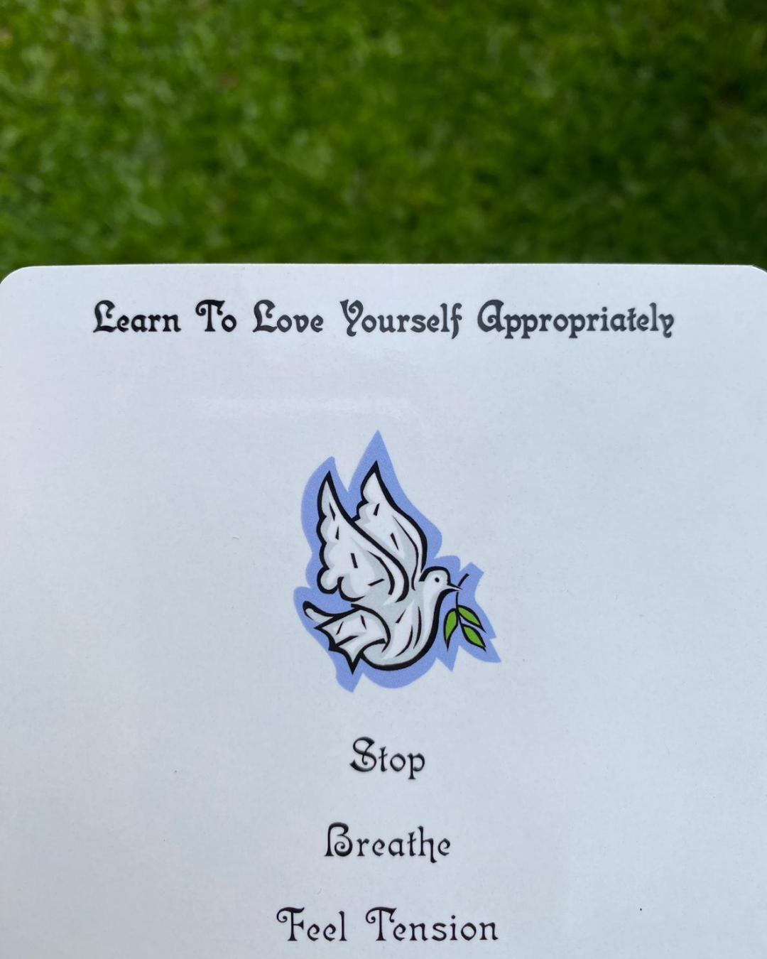 A card from Ask Yourself What To Do by Lana Knight shows the wording as Learn to love yourself appropriately with a drawing of a white dove carrying a branch on its beak outlined in black and sky blue. Followed by words each in one line Stop, Breathe, Feel Tension. The card is placed against a green grass background.