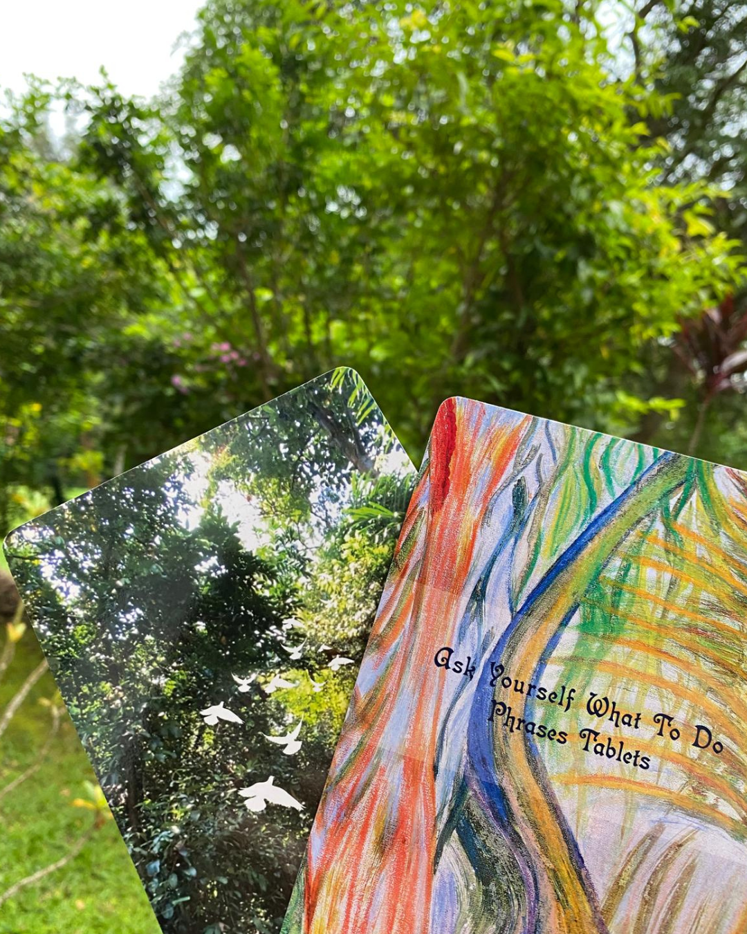Two cards from 'Ask Yourself What To Guiding Cards' are fanned out against a green natural background with trees. The card on the left has a cover of green tropical forest and white doves flying fanned out. The card on the right has a colorful cover reads as 'Ask Yourself What To Do' nature themed cover. 